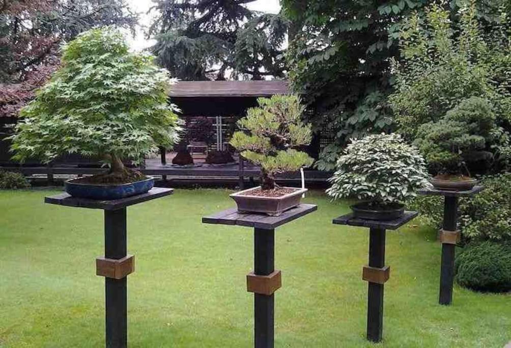 Spazioso Appartamento Parabiago Buitenkant foto